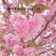 ヒメ日記 2025/06/23 20:44 投稿 すみ 即アポ奥さん ～津・松阪店～