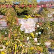 ヒメ日記 2025/06/26 19:45 投稿 すみ 即アポ奥さん ～津・松阪店～