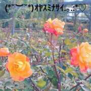 ヒメ日記 2025/06/28 00:44 投稿 すみ 即アポ奥さん ～津・松阪店～