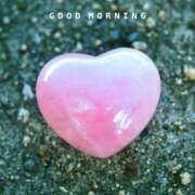 ヒメ日記 2025/06/30 06:44 投稿 すみ 即アポ奥さん ～津・松阪店～