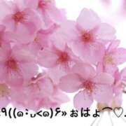 ヒメ日記 2025/07/20 07:00 投稿 すみ 即アポ奥さん ～津・松阪店～