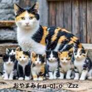 ヒメ日記 2025/07/29 23:44 投稿 すみ 即アポ奥さん ～津・松阪店～