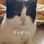 ヒメ日記 2025/08/08 18:44 投稿 すみ 即アポ奥さん ～津・松阪店～