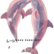 ヒメ日記 2025/08/09 06:46 投稿 すみ 即アポ奥さん ～津・松阪店～