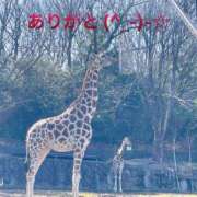 ヒメ日記 2025/08/09 23:54 投稿 すみ 即アポ奥さん ～津・松阪店～