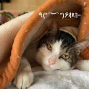 ヒメ日記 2025/08/10 07:24 投稿 すみ 即アポ奥さん ～津・松阪店～