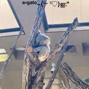 ヒメ日記 2025/08/11 15:54 投稿 すみ 即アポ奥さん ～津・松阪店～