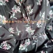 ヒメ日記 2025/08/13 07:04 投稿 すみ 即アポ奥さん ～津・松阪店～