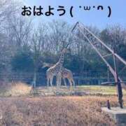 ヒメ日記 2025/08/14 07:14 投稿 すみ 即アポ奥さん ～津・松阪店～