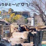 ヒメ日記 2025/08/15 15:34 投稿 すみ 即アポ奥さん ～津・松阪店～