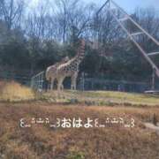 ヒメ日記 2025/08/21 06:44 投稿 すみ 即アポ奥さん ～津・松阪店～