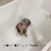 ヒメ日記 2025/08/23 23:34 投稿 すみ 即アポ奥さん ～津・松阪店～