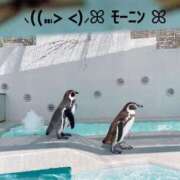 ヒメ日記 2025/08/24 07:44 投稿 すみ 即アポ奥さん ～津・松阪店～