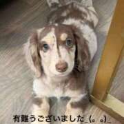 ヒメ日記 2025/08/25 21:44 投稿 すみ 即アポ奥さん ～津・松阪店～