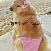 ヒメ日記 2025/08/25 23:34 投稿 すみ 即アポ奥さん ～津・松阪店～