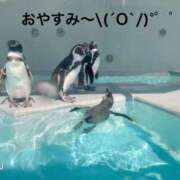 ヒメ日記 2025/08/27 20:14 投稿 すみ 即アポ奥さん ～津・松阪店～