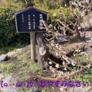 ヒメ日記 2025/08/29 20:24 投稿 すみ 即アポ奥さん ～津・松阪店～