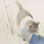 ヒメ日記 2025/08/31 20:27 投稿 すみ 即アポ奥さん ～津・松阪店～