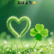 ヒメ日記 2025/09/17 07:04 投稿 すみ 即アポ奥さん ～津・松阪店～