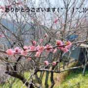 ヒメ日記 2025/09/20 20:44 投稿 すみ 即アポ奥さん ～津・松阪店～