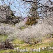 ヒメ日記 2025/09/22 20:34 投稿 すみ 即アポ奥さん ～津・松阪店～