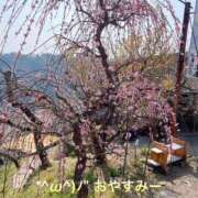 ヒメ日記 2025/09/23 20:24 投稿 すみ 即アポ奥さん ～津・松阪店～