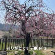 ヒメ日記 2025/09/27 16:04 投稿 すみ 即アポ奥さん ～津・松阪店～