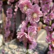 ヒメ日記 2025/09/30 06:44 投稿 すみ 即アポ奥さん ～津・松阪店～