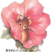 ヒメ日記 2025/10/03 14:44 投稿 すみ 即アポ奥さん ～津・松阪店～