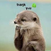 ヒメ日記 2025/10/04 16:06 投稿 すみ 即アポ奥さん ～津・松阪店～