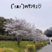 ヒメ日記 2025/10/04 22:14 投稿 すみ 即アポ奥さん ～津・松阪店～