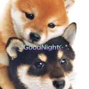 ヒメ日記 2025/10/07 20:24 投稿 すみ 即アポ奥さん ～津・松阪店～