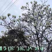 ヒメ日記 2025/10/13 23:04 投稿 すみ 即アポ奥さん ～津・松阪店～