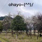 ヒメ日記 2025/10/15 06:29 投稿 すみ 即アポ奥さん ～津・松阪店～