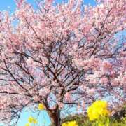 ヒメ日記 2025/10/15 21:04 投稿 すみ 即アポ奥さん ～津・松阪店～