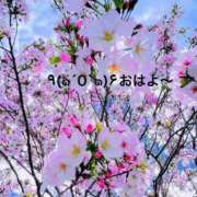 ヒメ日記 2025/10/19 06:34 投稿 すみ 即アポ奥さん ～津・松阪店～