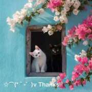 ヒメ日記 2025/10/19 16:34 投稿 すみ 即アポ奥さん ～津・松阪店～