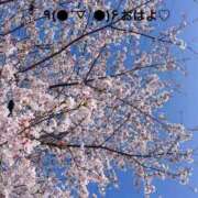 ヒメ日記 2025/10/20 06:34 投稿 すみ 即アポ奥さん ～津・松阪店～