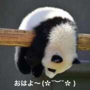 ヒメ日記 2025/10/24 06:34 投稿 すみ 即アポ奥さん ～津・松阪店～