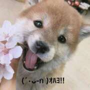 ヒメ日記 2025/10/27 06:44 投稿 すみ 即アポ奥さん ～津・松阪店～