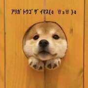 ヒメ日記 2025/10/28 20:04 投稿 すみ 即アポ奥さん ～津・松阪店～