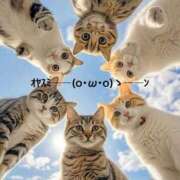 ヒメ日記 2025/11/02 20:14 投稿 すみ 即アポ奥さん ～津・松阪店～