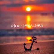 ヒメ日記 2025/11/08 12:05 投稿 すみ 即アポ奥さん ～津・松阪店～