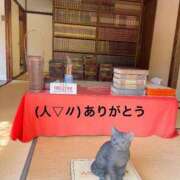 ヒメ日記 2025/11/12 20:23 投稿 すみ 即アポ奥さん ～津・松阪店～