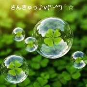 ヒメ日記 2025/11/22 22:17 投稿 すみ 即アポ奥さん ～津・松阪店～