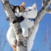 ヒメ日記 2025/12/07 12:42 投稿 すみ 即アポ奥さん ～津・松阪店～