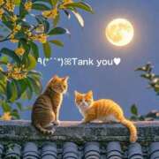 ヒメ日記 2025/12/10 20:24 投稿 すみ 即アポ奥さん ～津・松阪店～