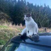 ヒメ日記 2025/12/11 16:57 投稿 すみ 即アポ奥さん ～津・松阪店～