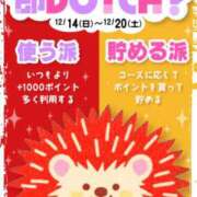 ヒメ日記 2025/12/13 14:36 投稿 すみ 即アポ奥さん ～津・松阪店～