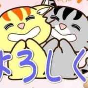 ヒメ日記 2025/12/19 20:04 投稿 すみ 即アポ奥さん ～津・松阪店～